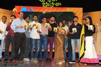 Uyyala Jampala Movie Audio Release Photos